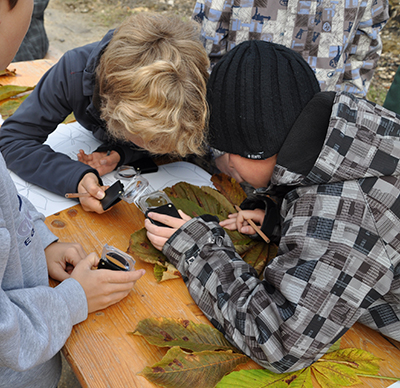 Kinder entdecken Kastanienblätter