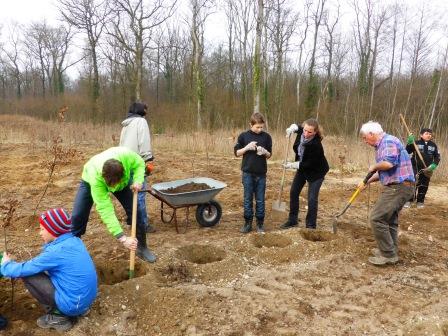 Eine Gruppe von Menschen gräbt Löcher auf einer Waldfläche