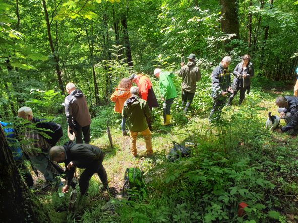 Gruppe beim Waldbaden