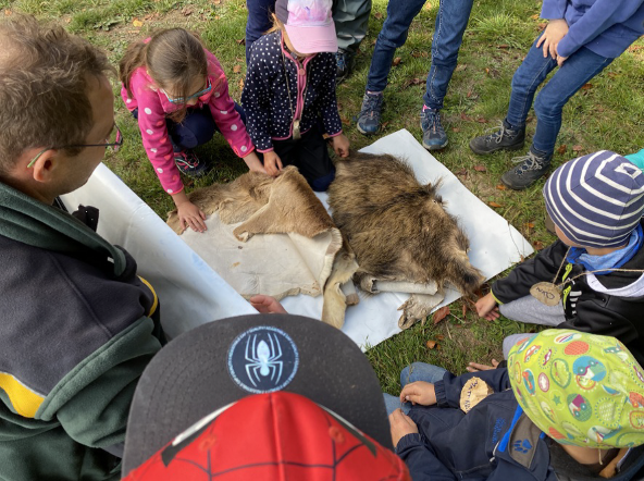 Kinder entdecken Tierfelle