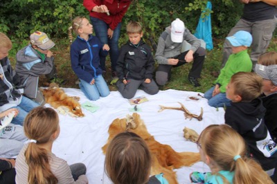 Kinder erhalten Einblicke in den Lebensraum Wald