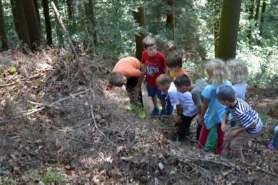 Kindergruppe im Wald