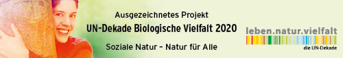 Ausgezeichnetes Projekt 2020