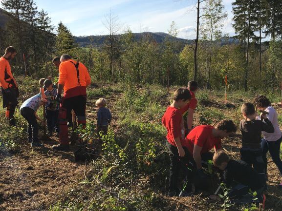 Kinder pflanzen Bäume im Wald