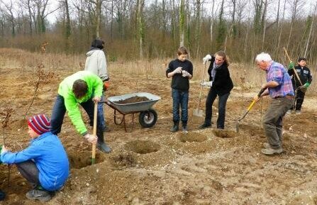Eine Gruppe von Menschen gräbt Löcher auf einer Waldfläche