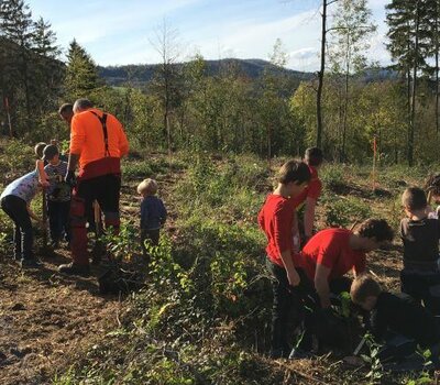 Kinder pflanzen Bäume im Wald