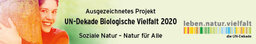 Ausgezeichnetes Projekt 2020
