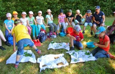 Kinder lernen die Tiere des Waldes kennen