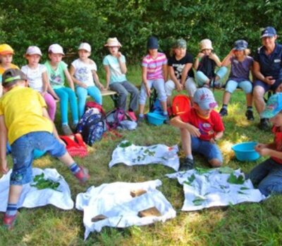 Kinder lernen die Tiere des Waldes kennen