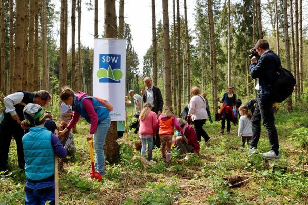 Pflanzaktion zum Baum des Jahres
