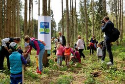 Pflanzaktion zum Baum des Jahres
