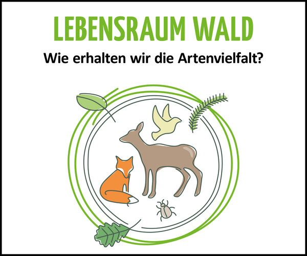 Signet Lebensraum Wald: Wie erhalten wir die Artenvielfalt?