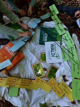 Auf einer Decke im Wald liegen UiW-Ordner und handgeschriebene Zettel. 