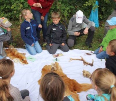 Kinder erhalten Einblicke in den Lebensraum Wald