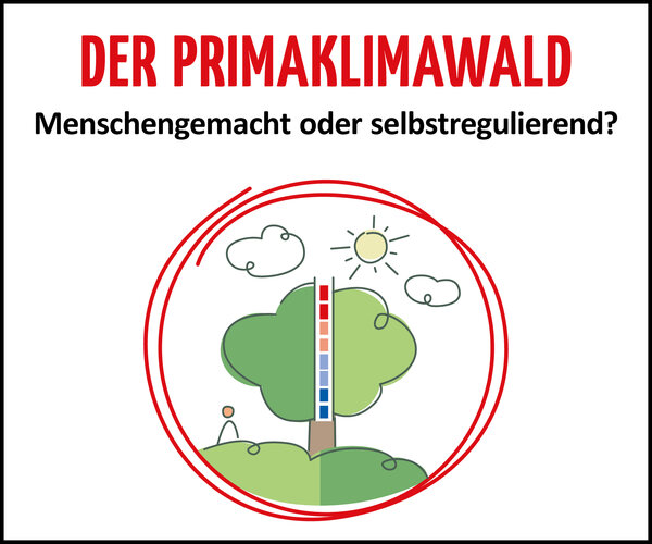 Signet Primaklimawald: Menschengemacht oder selbstregulierend?