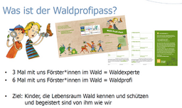 Waldprofipass
