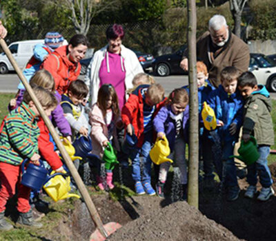 Gruppe von Kleinkindern gießen einen gepflanzten Baum