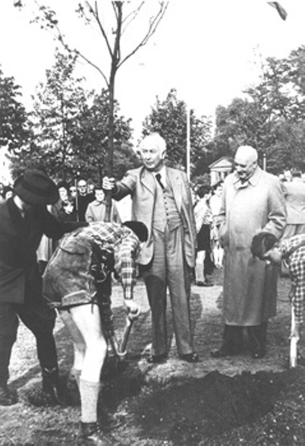 Bundespräsident Theodor Heuss pflanzt einen Baum im Jahr 1952